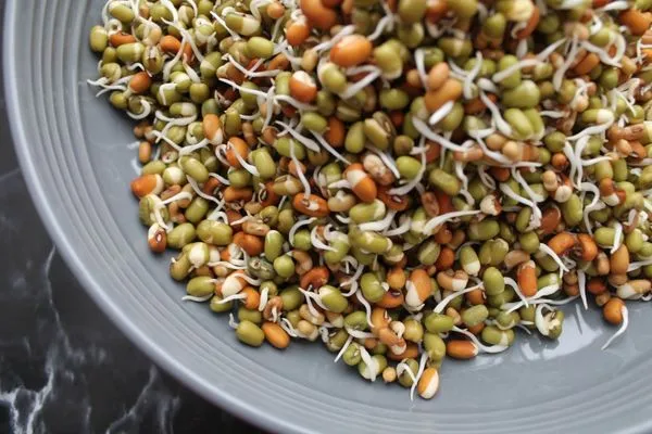 Sprouts Best Ayurvedic Medicine For Weight Loss
